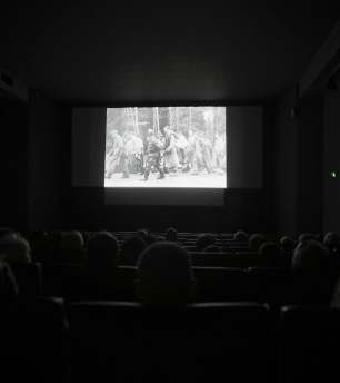 Cinémathèque de Vendée- 2015 PBertheau
